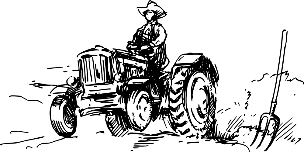 Toprak Dünyası